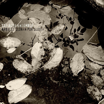 Arboles lloran por lluvia cover art