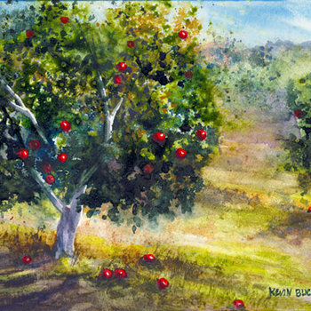Support The Orchard cover art
