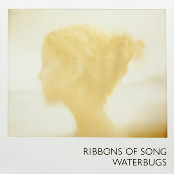 Waterbugs cover art