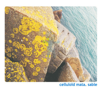 sable cover art