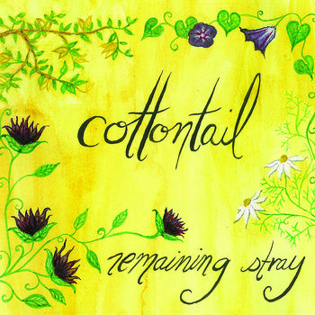 Remaining Stray cover art