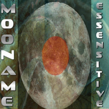 essensitive cover art