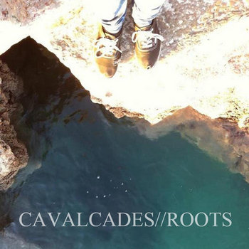 Split w/ Roots cover art