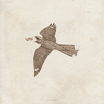 To Disappear in Place cover art