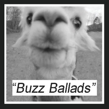 Buzz Ballads (Split w/ Falsetto Boy) cover art
