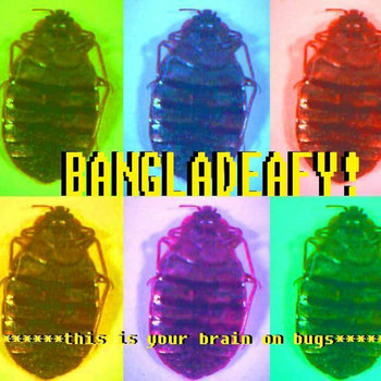 This Is Your Brain On Bugs cover art