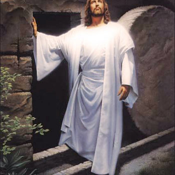 The Traditional Hymns cover art
