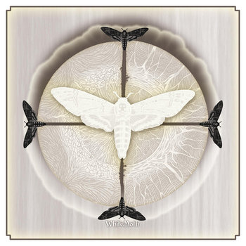 WHITE MOTH cover art