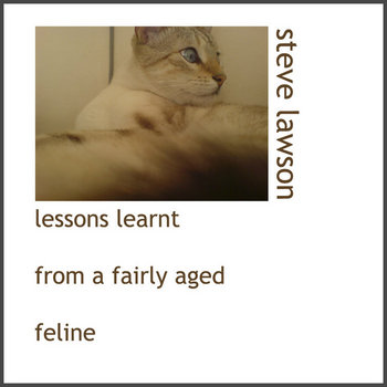 Lessons Learnt From An Aged Feline Pt I cover art