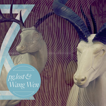 pg.lost / Wang Wen split cover art