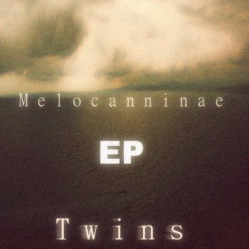 Twins cover art