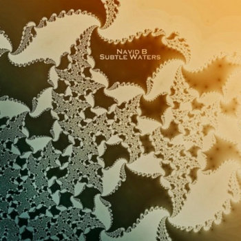 Subtle Waters cover art
