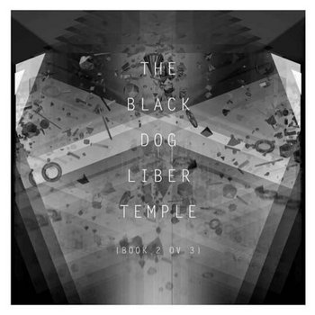 Liber Temple cover art