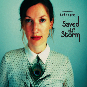 Saved by the Storm cover art