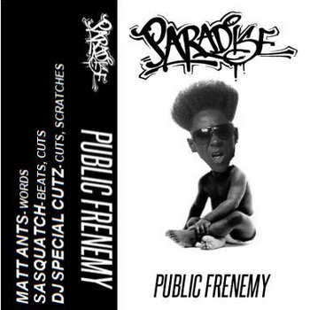 Public Frenemy cover art
