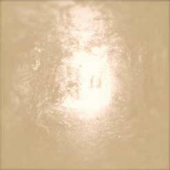 subtle trees cover art