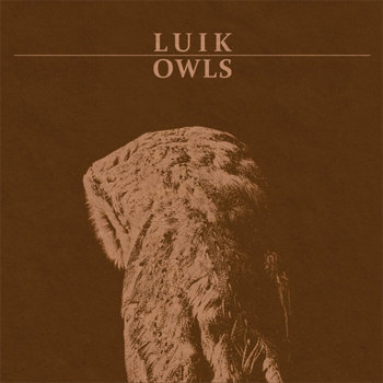 Owls cover art