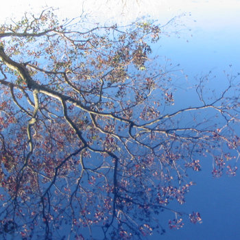 Autumn cover art