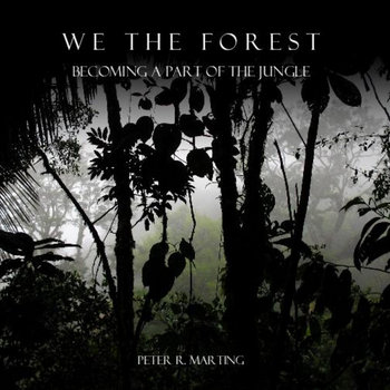 We the Forest Supplementary Audio cover art
