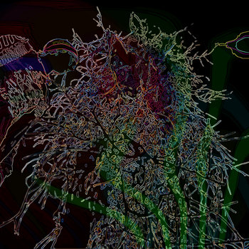 Transparent Hallucinations cover art