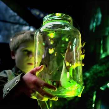 Fireflies (EP) cover art