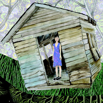 Porcupine Hill cover art