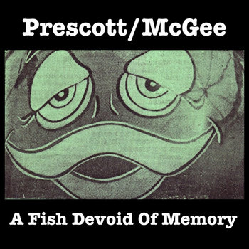 A Fish Devoid Of Memory cover art