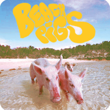 Beach pigs cover art
