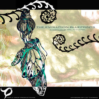 The evolution blueprints cover art
