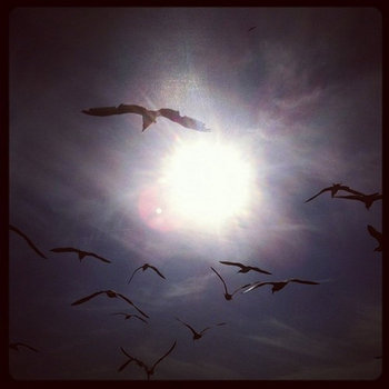 Breathe cover art