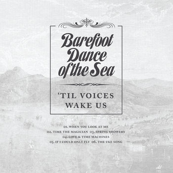 'Til Voices Wake Us cover art