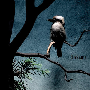 Black Andy cover art