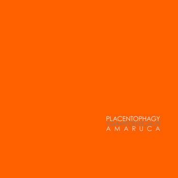 Amaruca cover art