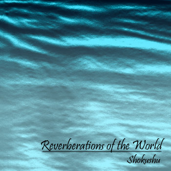 Reverberations of the World cover art
