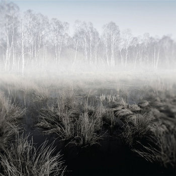 Clearings cover art