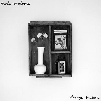 Strange Bruises cover art