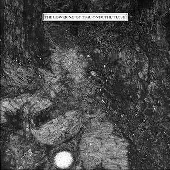 the lowering of time onto the flesh cover art