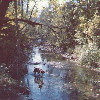 river of song cover art