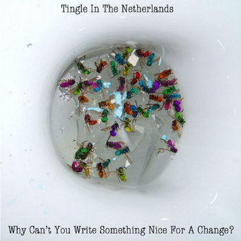 Why Can't You Write Something Nice For A Change? cover art