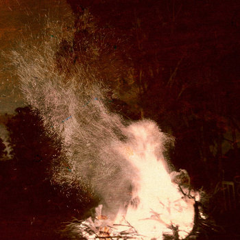 Nettles cover art