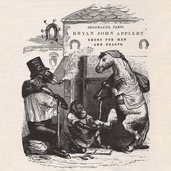 Shoes for Men and Beasts cover art