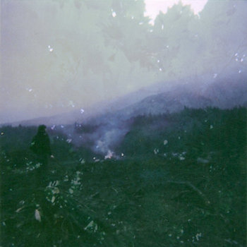 The Holy Forest cover art