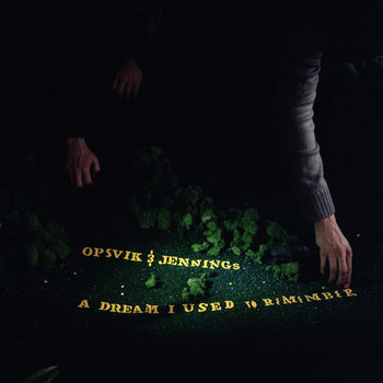 A Dream I Used to Remember cover art