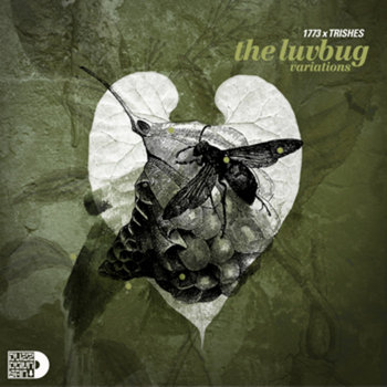 The Luv Bug Variations cover art