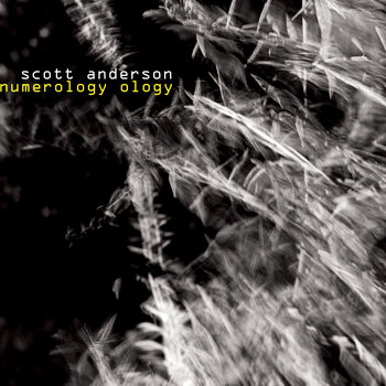 Numerology Ology cover art