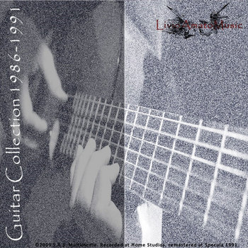 Guitar collection cover art