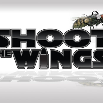 Shoot The Wings cover art