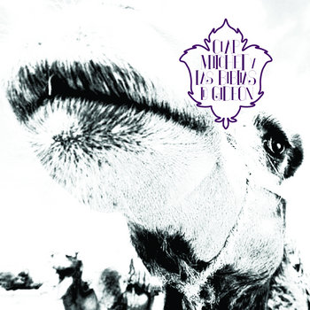 Clap Mitchet y las Biblias de Gideón cover art