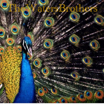 The Waters Brothers cover art