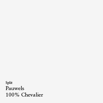 100% Chevalier // Pauwels - Split cover art